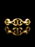 925 Silver Gold-Plated Horsebit Ring | Luxury Link Ring | Size 7