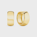 Earrings Largo