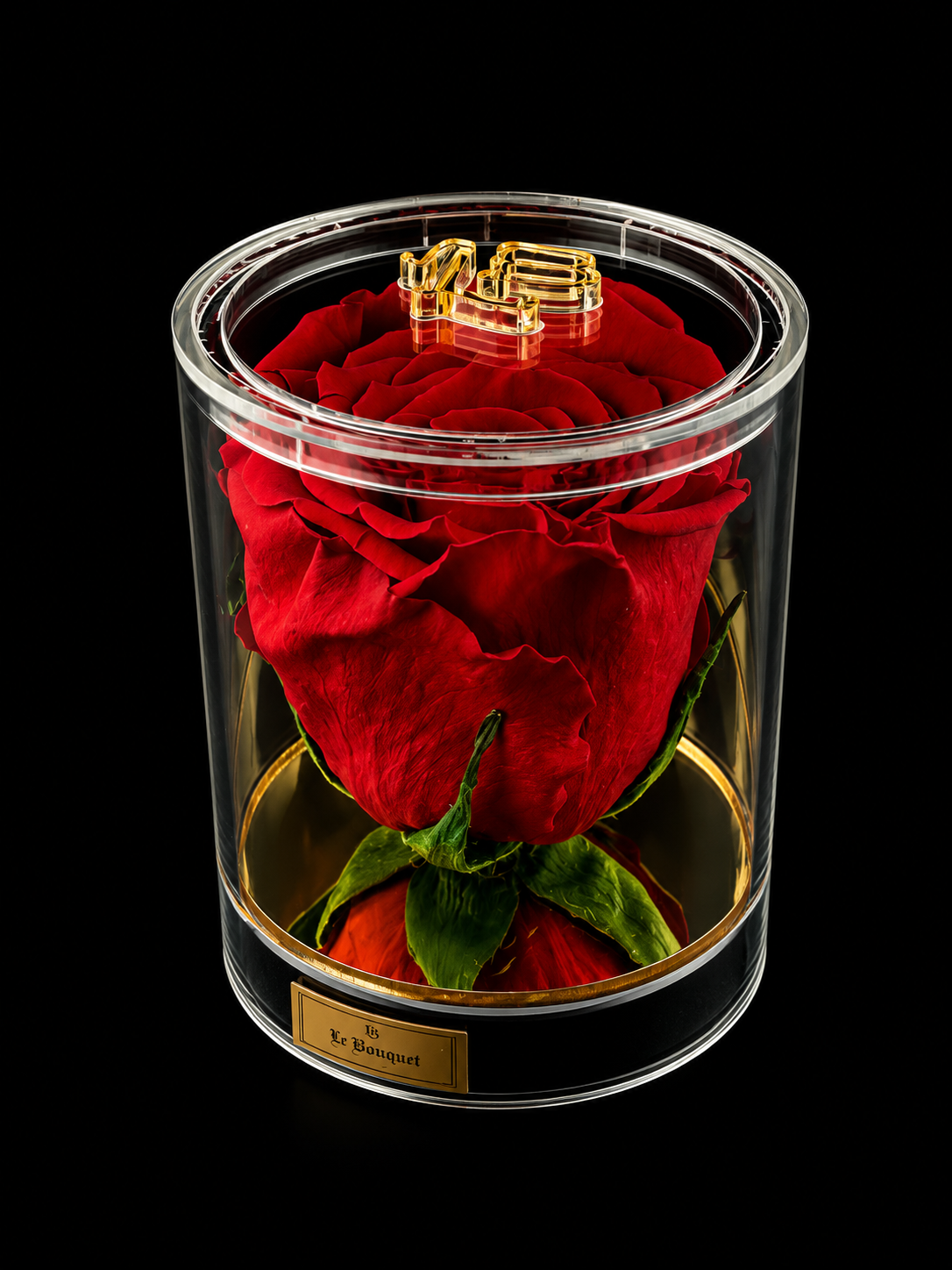The Luxe Single Rose | RED & GREEN