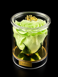 The Luxe Single Rose | GREEN