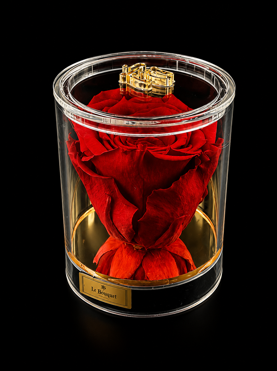 The Luxe Single Rose | RED ONLY